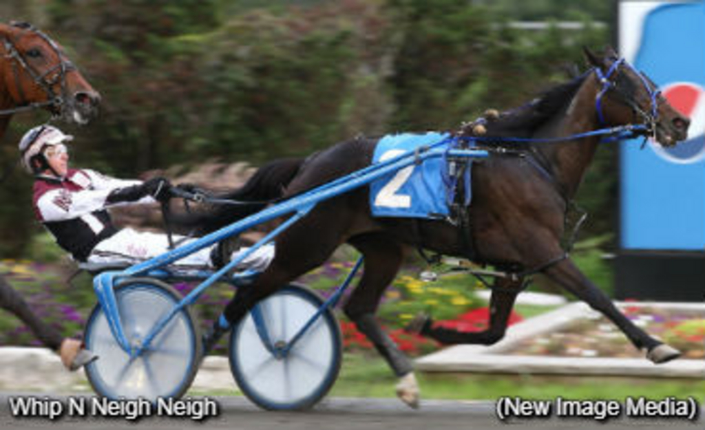 Whip N Neigh Neigh Standardbred Canada